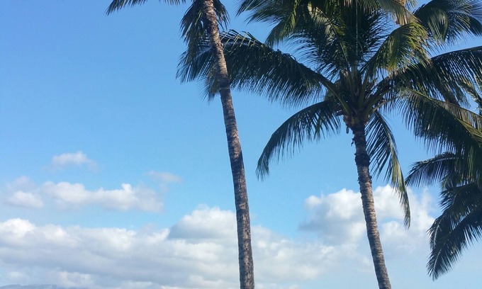 Kihei Condo | Panoramic Views and Sunsets Nightly
