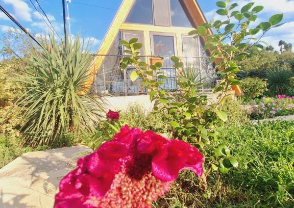 Kobuleti Apartment | Paradise cottage