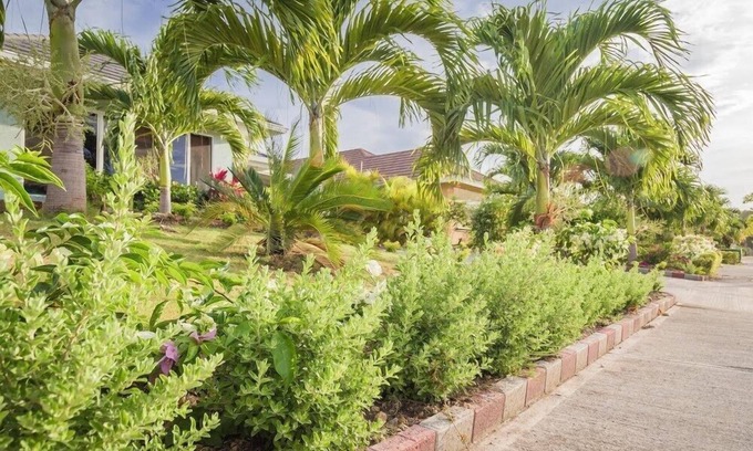 Mammee Bay Villa | Paradise Escape Drax Hall Ocho Rios