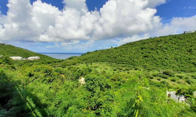 Rosendal Condo | Paradise Found 1BR/1BA, 5 min to Magen's Bay