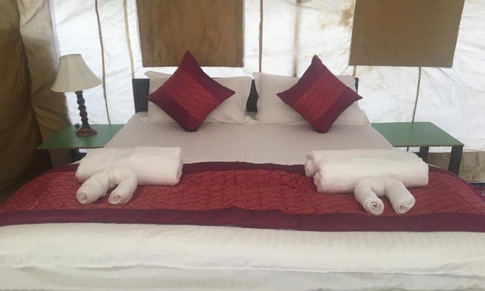 Nubra Valley Other | Paramount Camp