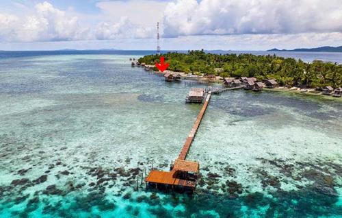 Arborek House | ParfrayHomestay Raja ampat