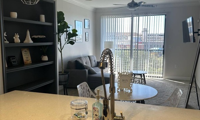 Braeswood Place Apartment | Paris themed apartment in medical center area