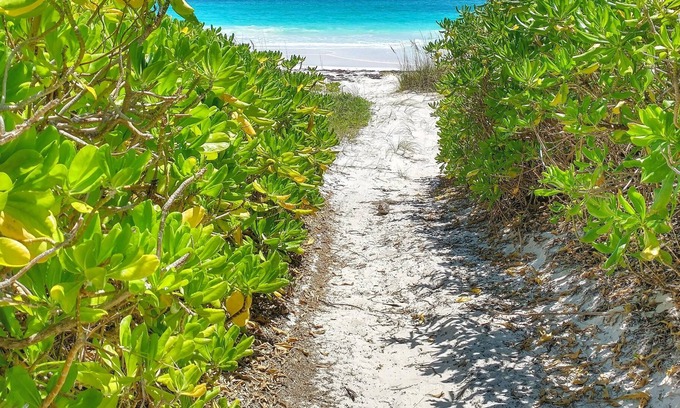 Crossing Rocks Cottage | Parrots Perch Beach Cottage - charming tropical island living w/ modern comforts