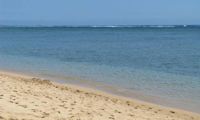 Punaluu Condo | Pat's at Punaluu, Beachfront Condo - 30 Day Minimum Rental