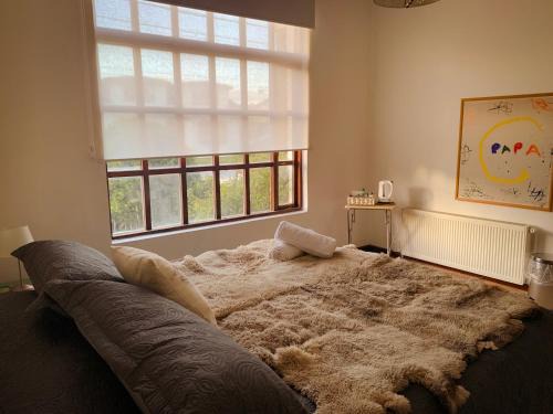 Punta Arenas House | Patagonia Heritage Home