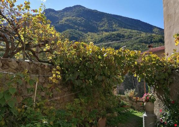 Sahorre Bed & Breakfast | Pati del sol