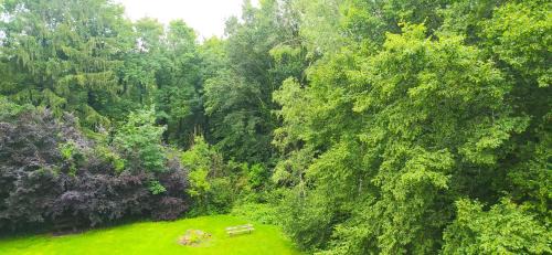La Calamine Apartment | Pause nature