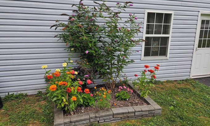 Afton House | Peaceful and private two bedroom house located in Afton NY. Family friendly.
