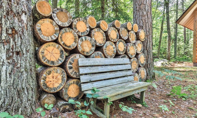Lake Tomahawk Cabin | Peaceful cabin on 5 acres of woods.