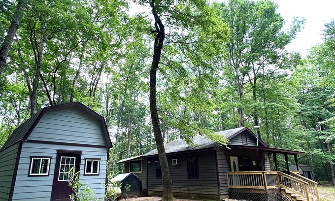 Unaka Cabin | Peaceful cozy cabin in the woods