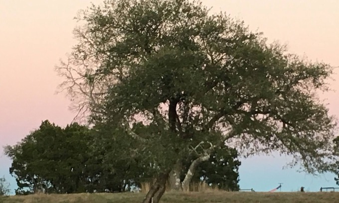Kerrville House | Peaceful Farm Stay A Guesthouse in the Heart of the Texas Hill Country