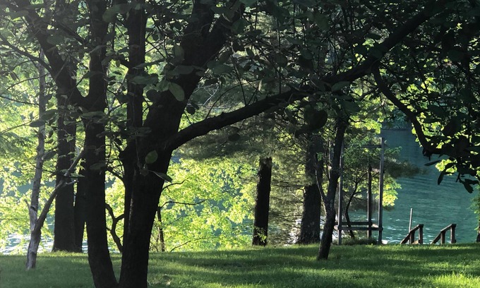 Penelacres House | Peaceful Lakefront! Private deep water dock, evening sun, quiet dead end street!