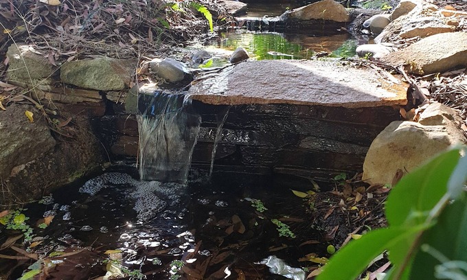 O'Connor Apartment | Peaceful nature near City & ANU with the full kitchen, bathroom, &free parking