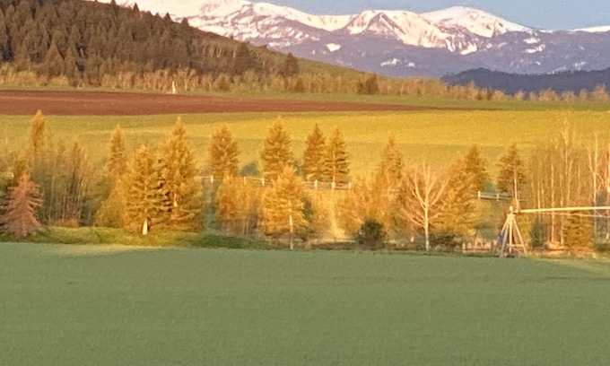 Bozeman Apartment | Peaceful Setting. Amazing Views! Close to DwnTwn & MSU