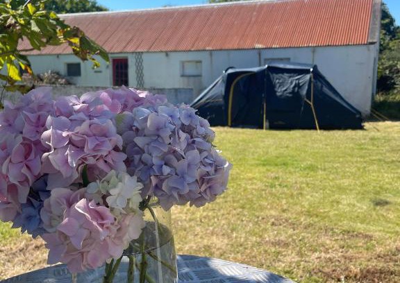 Banna Other | Peaceful Tent Camping near Ballybunion & Listowel