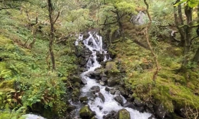 Bryn-crug House | Peaceful, woodland caravan site with pool and bar