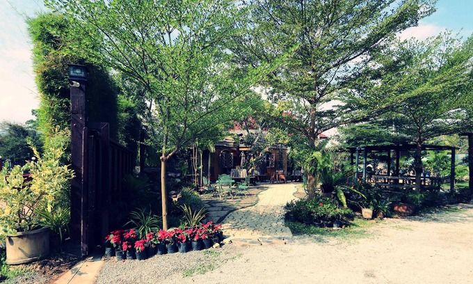 Chang Phueak Cottage | Peanut House (PH)