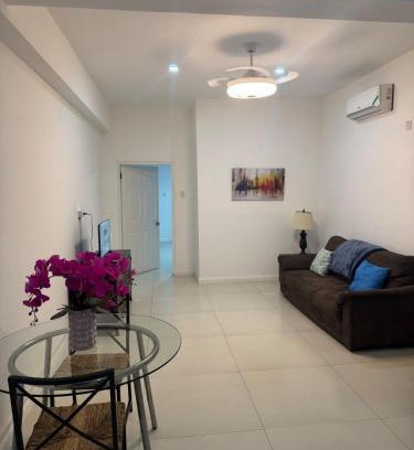 New Kingston Apartment | Pearl of the City LIGUANEA