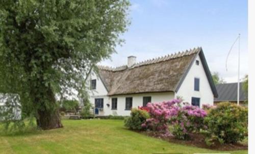 Hillerod Bed & Breakfast | Pegasus Bed & Breakfast