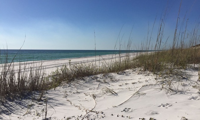 Seacrest House | Pelican Circle 30A Beach Bungalow