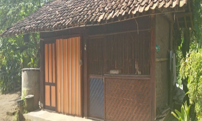 Kalirejo House | Penginapan Salsa