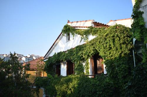 Pythagorion House | Pension Felippe
