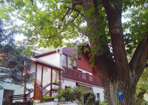 Thiergarten House | Pension Fischer