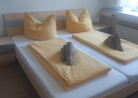 Chemnitz House | Pension Savo