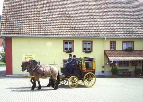 Hottingen House | Pension Sonne