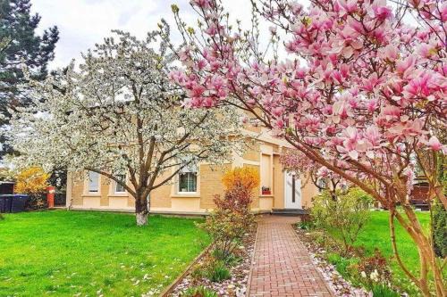 Kothen House | PensionLien