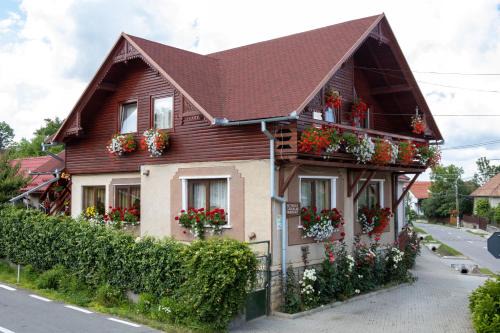Sincraiu House | Pensiune Saroklak