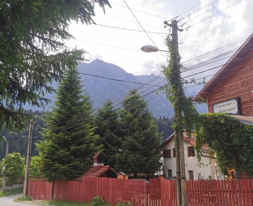 Busteni Bed & Breakfast | Pensiunea Fara Nume