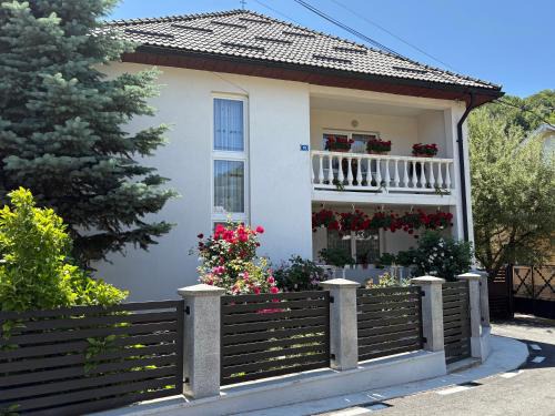Sant House | Pensiunea Grapini