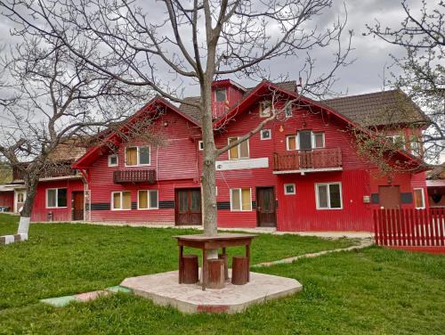 Zarnesti House | Pensiunea Irina 3