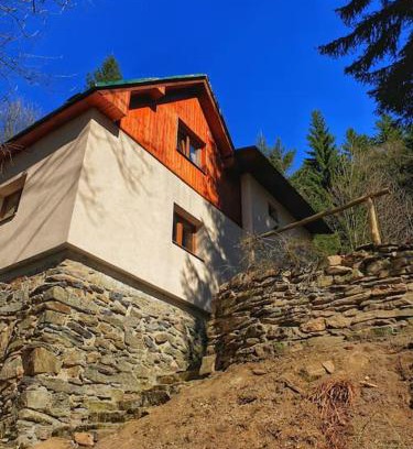Rokytnice nad Jizerou Ski Chalet | Penzion Pichberg Horská chata