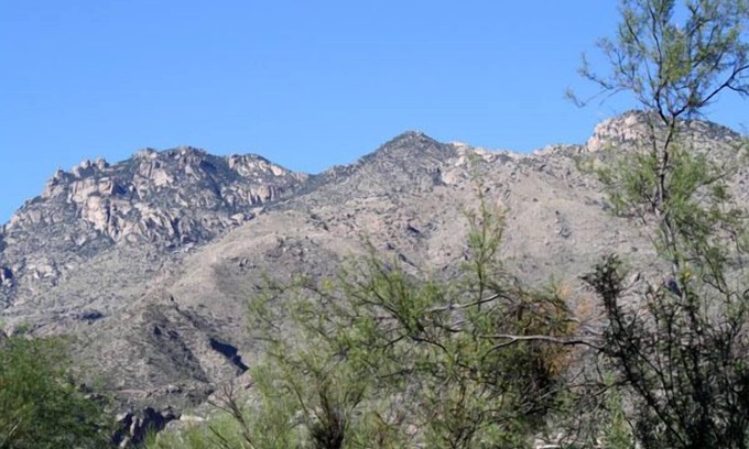 Tucson Condo | Pet Friendly-1st Floor 2 with Direct Access from parking - Mountain Views!