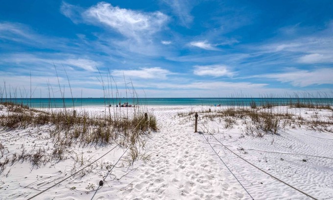 Grayton Beach House | *Pet Friendly! Adorable Historic Cottage in Grayton Beach! Short walk to the beach! Sleeps 7! WiFi
