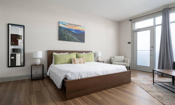 Asheville Apartment | Pet Friendly ADA Studio King Suite | 102