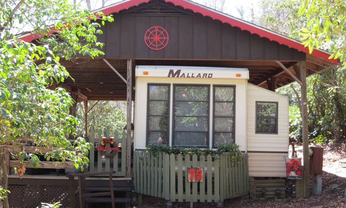 Pineola House | Pet Friendly - Beautiful Mountain Getaway