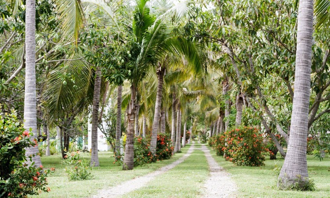 Acapulco House | Pet friendly bungalow between the ocean and lagoon
