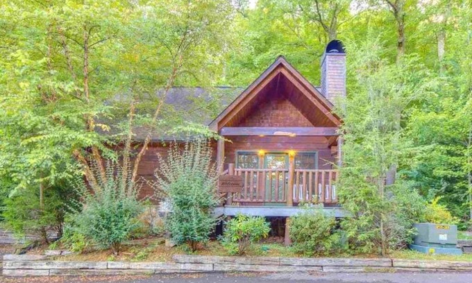 Wears Valley Cabin | Pet-friendly Cabin in the Hills! HOT TUB + Wifi