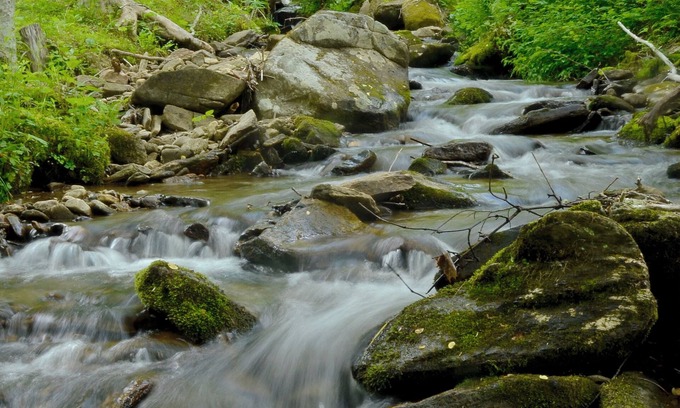 Maggie Valley Cabin | "Pet friendly Cozy Cabin in the Woods with Mountain Views and Hot Tub"