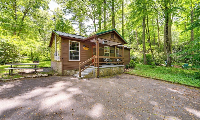 Maggie Valley Cabin | Pet-Friendly Creekside Cabin w/Pool Access!