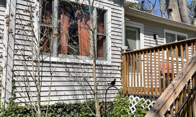 Madison Cottage | Pet friendly Nature Cottage: deck, trails, fire pit, creek, & historic district