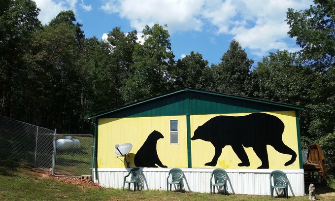Yellville Cottage | PET FRIENDLY REASONABLY PRICED MOUNTAINTOP COTTAGE
