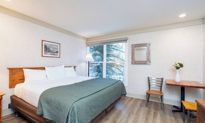Telluride Hotel | Pet-Friendly Room With King Bed on the River