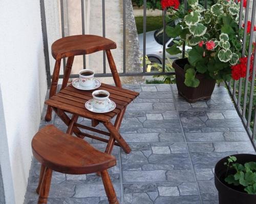 Bajina Basta Apartment | Pet Omorika