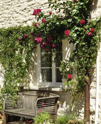 Chassagne-Montrachet House | Petit Montrachet