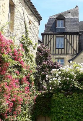 Republique Apartment | Petite Maison Romantique au calme, Cœur Historique, vue Ville et Jardin